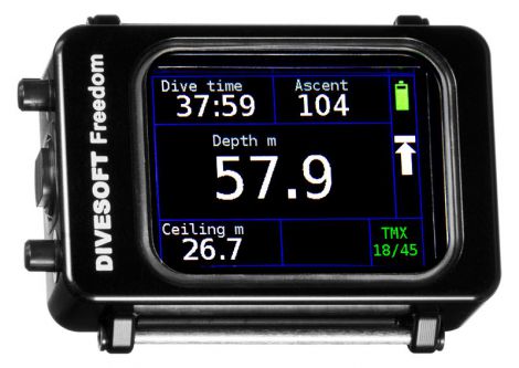 Divesoft Freedom Advanced Bottom timer